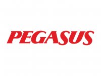Pegasus Yurtiçi Uçak Bileti